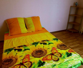 Apartment on Valeriya Gassiya 14